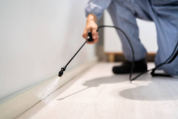 Licensed Pest Control service in Port Townsend, WA - Show Me Pest Control